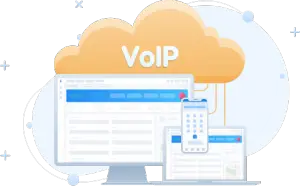 VoIP call center subscription